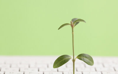 Can our Business Technology Drive a Sustainable Future? 