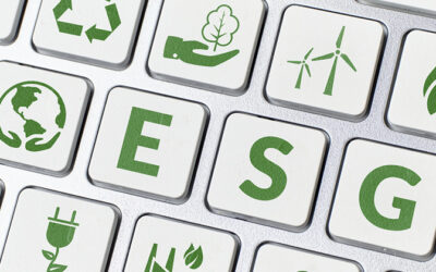 How to Improve Your Company’s ESG Score.